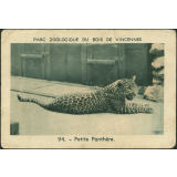 Petite panthère