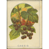 Cassis