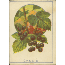 Cassis