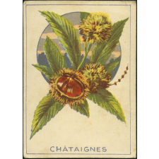 Châtaignes
