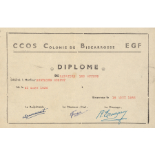 Diplôme de Natation 100 mètres
