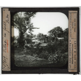 Inde. Village en forêt.