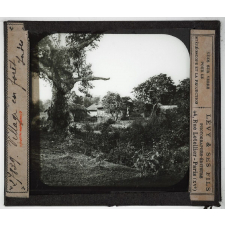 Inde. Village en forêt.