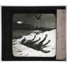 La Chasse. Loup mort sur la neige.