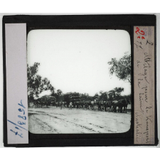 Australie Série II. Géographie humaine et économique. Attelage pour le transport de la laine.