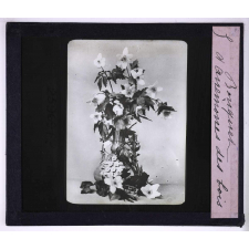 L'Art à l'école, décoration par les fleurs de printemps. Bouquet d'anémones des bois.