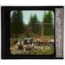 Au pays des sapins. Les balais de sapins.