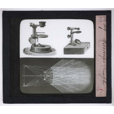 Microscope nature. Microscope simple.