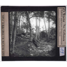 Fontainebleau et ses environs. La Croix du Calvaire.