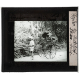 Ceylan. Un Rickshaw. Pousse-pousse.