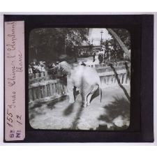 Expo 1900. Indo Chine : l'Éléphant blanc.