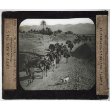 Colonies, Algérie. El-Kantara. Caravane.