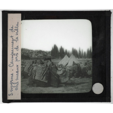 Asie mineure. Smyrne. Campement de chameaux près de la ville.