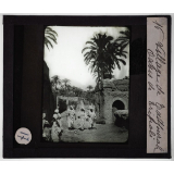 Tripolitaine. Village de Tadjourah. Oasis de Tripoli.