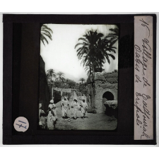 Tripolitaine. Village de Tadjourah. Oasis de Tripoli.