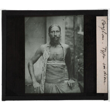 Ceylan. Type indien.