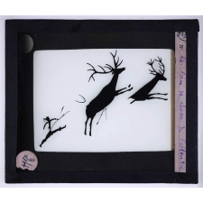 Art paléolithique. Scène de chasse. 