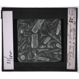 La Sédimentation. Spicules d'éponges mélangés à des débris de coraux.