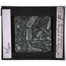 La Sédimentation. Spicules d'éponges mélangés à des débris de coraux.