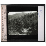 Sumatra. Singalang. Paysage.