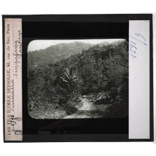 Sumatra. Singalang. Paysage.
