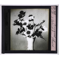 L'Art à l'école, décoration par les fleurs d'été. Bouquet d'églantier fleuri.