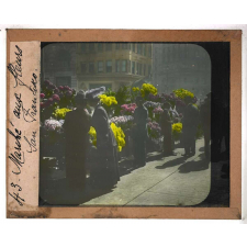 Ouest américain. Marché aux fleurs, San Francisco.