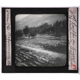 Déboisement et reboisement, sociétés scolaires pastorales forestières. Emploi des pierres plates pour la protection des semis.