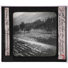 Déboisement et reboisement, sociétés scolaires pastorales forestières. Emploi des pierres plates pour la protection des semis.