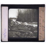 Norvège, la forêt. Chemin de conduite pour le bois.