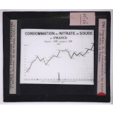 Le Nitrate de soude et la nutrition azotée des plantes. Graphique de la consommation du nitrate de soude en France.