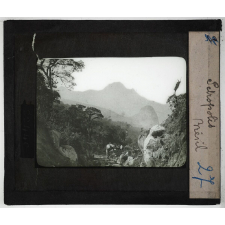 Amérique du Sud. Petropolis Brésil.