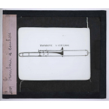 L'Acoustique et les instruments de musique. Trombone à coulisse.