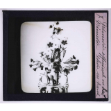 L'Art à l'école, décoration par les fleurs de printemps. Primevère officinale en bas, primevère élevée en haut.