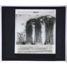 Nitrate de soude. Orge.