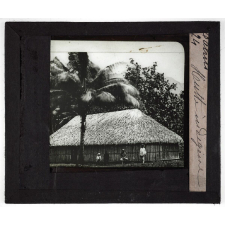 Tahiti. Hutte indigène.