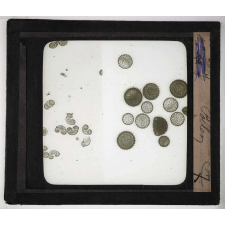 Microscope. Pollen.