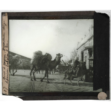 Asie mineure. Quais de Smyrne. Dromadaires chargés de paniers. Indigène à âne.