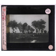 L'Art français du XIXe siècle d'après les collections du Grand-Palais (Exposition universelle de 1900). I Première moitié du siècle. Th. Rousseau. Paysage.