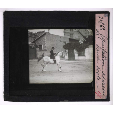 Sports et jeux sportifs. Équitation exercice de haute école.