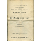 Les Animaux de la plage. Notices sur les vues.