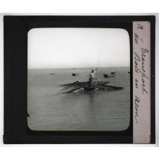 La Moule et l'huître portugaise sur les côtes de l'Aunis. Transport du bois en acon.
