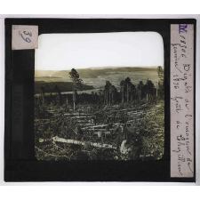 Forêts de France. Feuillus et résineux. Dégâts de l'ouragan de janvier 1896. Forêt de Thezillieu.