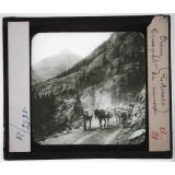 Etats-Unis. Région des montagnes Rocheuses. Ouray (Colorado). Transport du minerai.