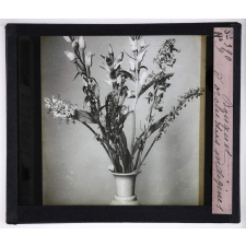 L'Art à l'école, décoration par les fleurs d'été. Bouquet d'orchidées indigènes.