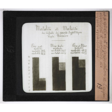 La Protection et la préservation de l'enfant avant sa naissance. Morbidité et mortalité des enfants syphilitiques.