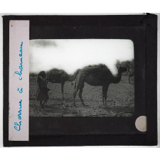 Algérie. Série I. Le pays et les indigènes. Charrue à chameau.