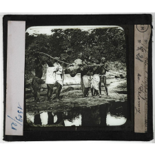 Le Dahomey. Géographie physique - Flore et faune. Tête d'Hippopotame tué au Dahomey.