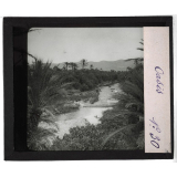 Algérie, Tunisie, Maroc. Oasis.