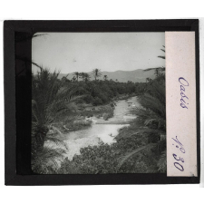 Algérie, Tunisie, Maroc. Oasis.